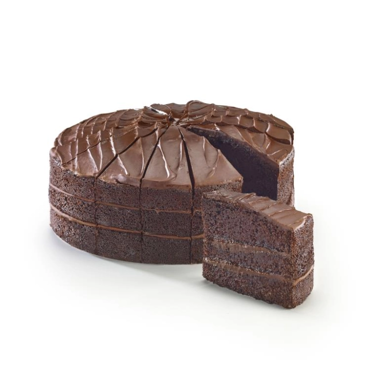 Triple Chocolate Fudge Cake