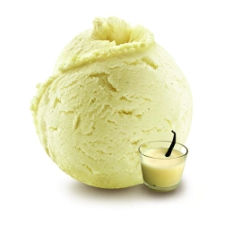 Vanilla Custard