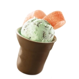 Mint Chocolate Chip