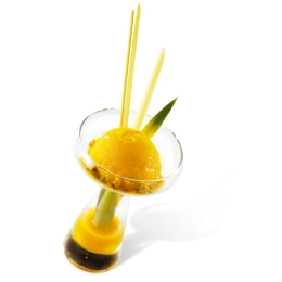 Passion Fruit Sorbet