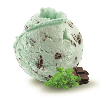 Mint Chocolate Chip