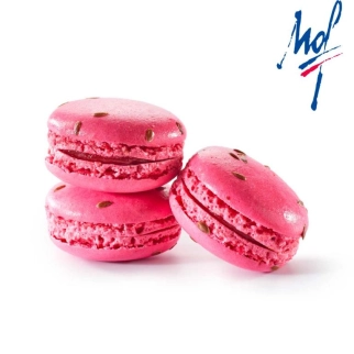 Strawberry Macaron